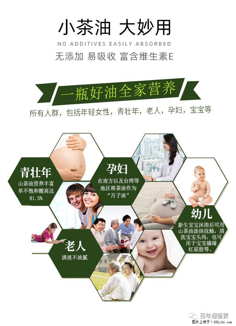 世界没有真相，只有认知，最好的食用油是中国的山茶油！ - 南平生活资讯 - 南平28生活网 np.28life.com