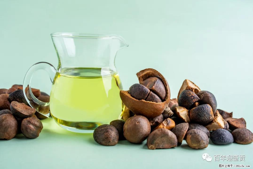 世界没有真相,只有认知,最好的食用油是中国的山茶油! - 南平生活资讯 - 南平28生活网 np.28life.com