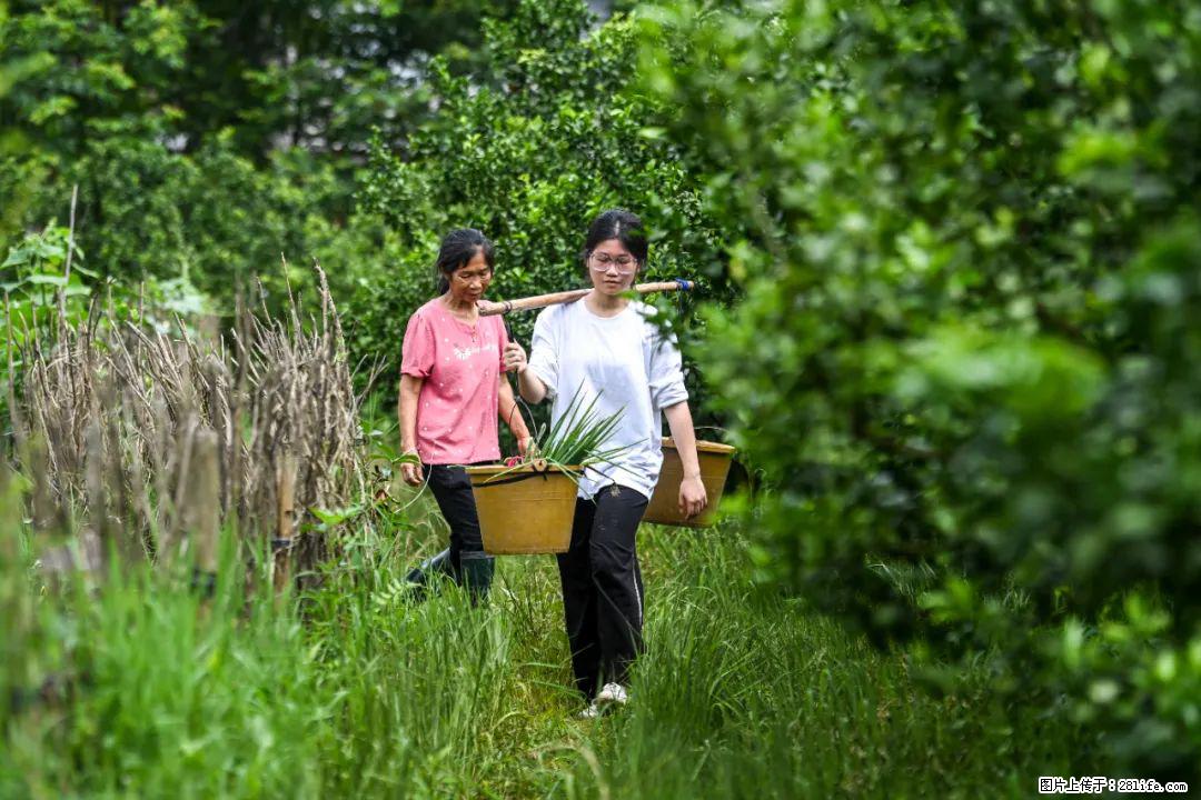 全网追的“扁担女孩”,找了一份暑假工,时薪12元 - 南平生活资讯 - 南平28生活网 np.28life.com