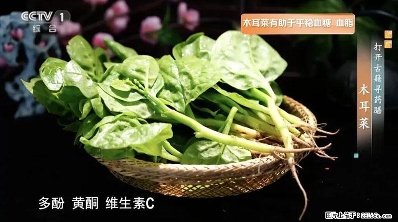 比牛奶补钙还厉害!凉血解毒、稳血糖...这菜冬天必吃,很多人却当草 - 南平生活资讯 - 南平28生活网 np.28life.com