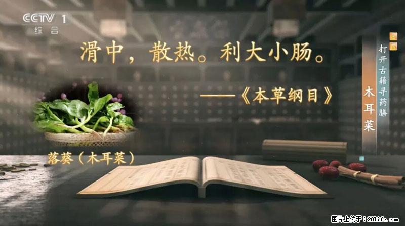 比牛奶补钙还厉害!凉血解毒、稳血糖...这菜冬天必吃,很多人却当草 - 南平生活资讯 - 南平28生活网 np.28life.com