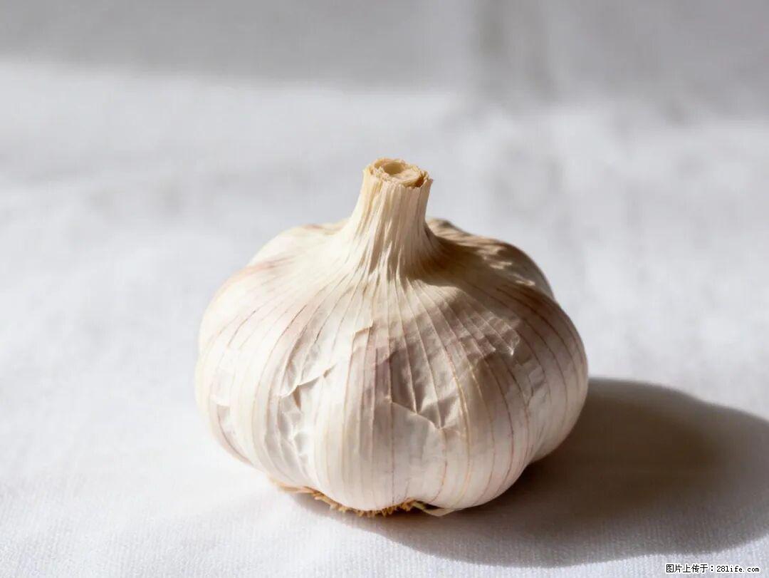 关于大蒜，除了“天然抗生素”，这4个谣言更该警惕! - 南平生活资讯 - 南平28生活网 np.28life.com