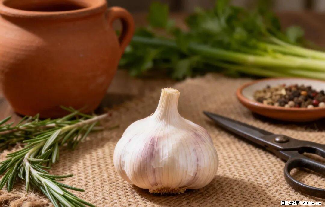 关于大蒜，除了“天然抗生素”，这4个谣言更该警惕! - 南平生活资讯 - 南平28生活网 np.28life.com