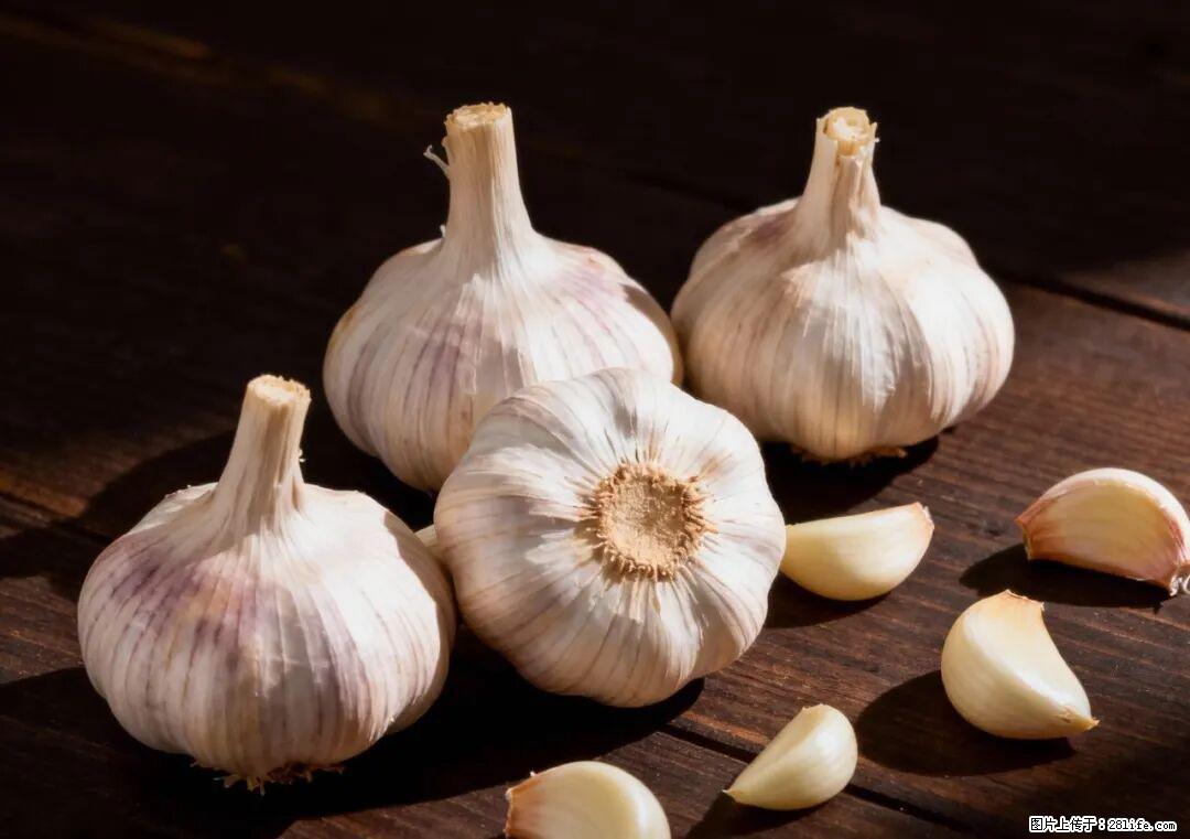 关于大蒜，除了“天然抗生素”，这4个谣言更该警惕! - 南平生活资讯 - 南平28生活网 np.28life.com