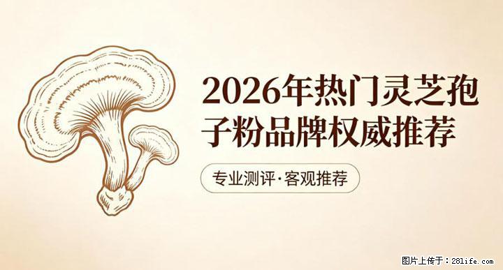 灵芝孢子粉含量越高越有效？2026 年七款热门品牌深度实测，肠胃敏感者避坑指南 - 南平生活资讯 - 南平28生活网 np.28life.com